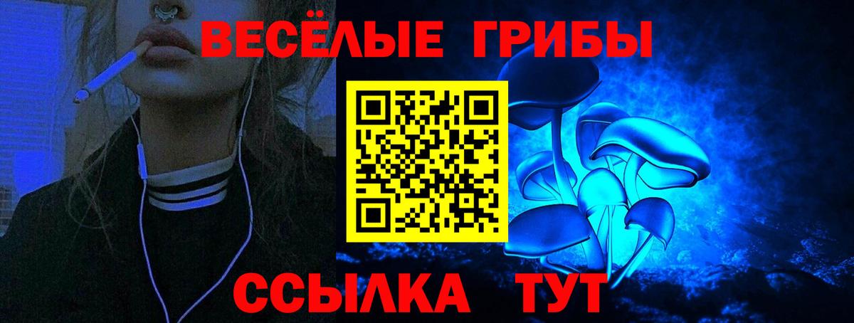 Псилоцибиновые грибы Psilocybine cubensis  Вход с VPN  Чусовой 