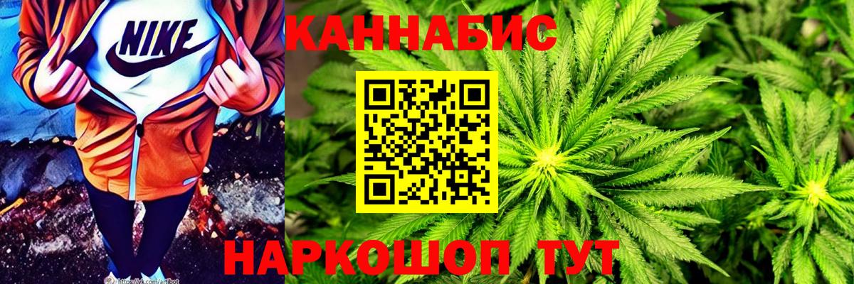 Канабис сатива Чусовой